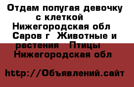 Отдам попугая девочку с клеткой. - Нижегородская обл., Саров г. Животные и растения » Птицы   . Нижегородская обл.